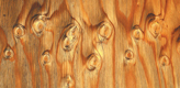 Knotty Pine