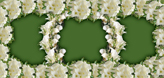 Wedding Lilies